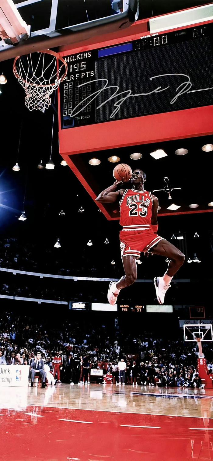 如果他们能 如果他们能