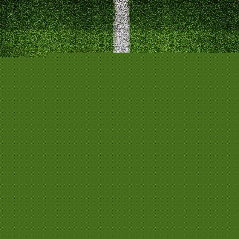 她们个人的 她们个人的